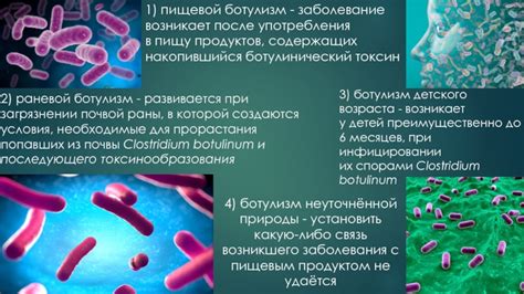 Как быстро развивается ботулизм после употребления зараженных продуктов