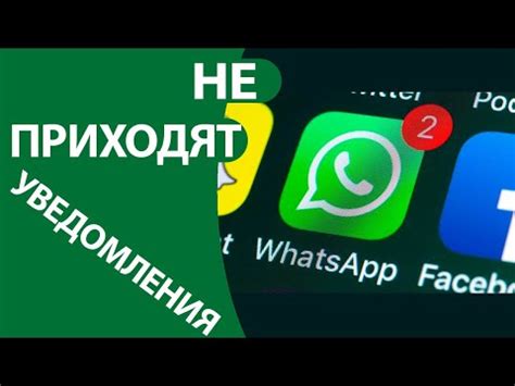 Как вернуть WhatsApp на телефон: решение проблемы