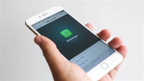 Как временно отключить WhatsApp на iPhone?