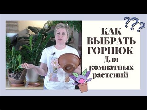 Как выбрать диаметр горшка?