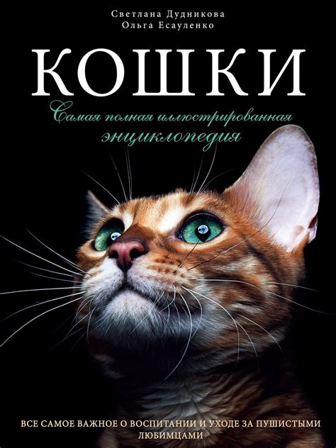 Как выбрать имя, отражающее характер кошки?