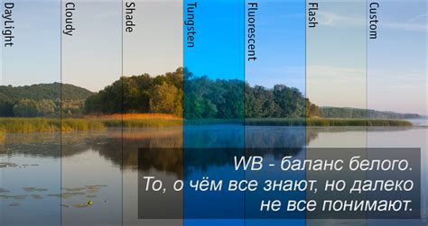 Как выбрать наилучший баланс белого для улучшения динамического диапазона