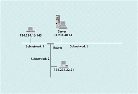 Как выбрать подходящее решение IPS для вашей сети