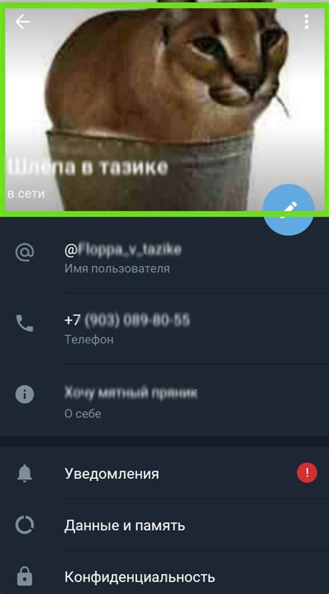 Как выбрать подходящую аватарку на hey lucky