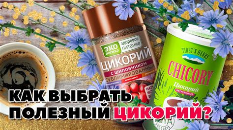 Как выбрать растворимый цикорий?