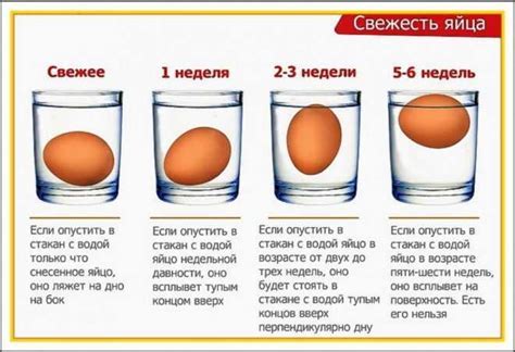 Как выбрать яйцо для опускания в воду