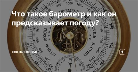 Как глобус предсказывает погоду