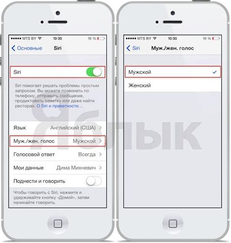 Как изменить голос Siri на мужской или женский