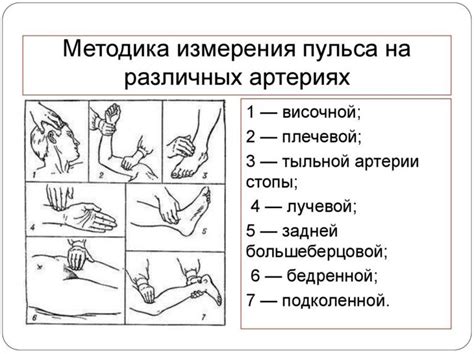 Как измерить ЧСС в домашних условиях?