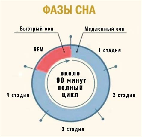 Как измерить продолжительность фазы лютеина