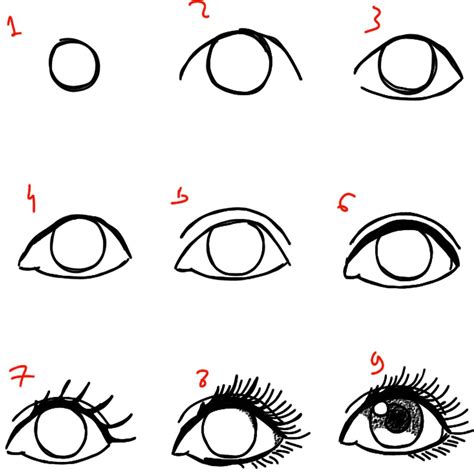 Как изобразить глаз сбоку шаг за шагом