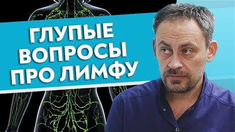 Как изучить лимфатическую систему человека?