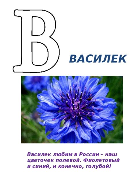 Как использовать азбуку цветов?