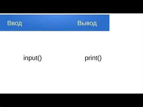 Как использовать команду input() для ввода данных