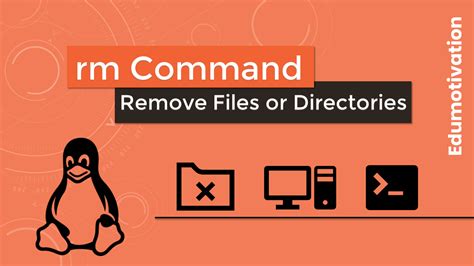 Как использовать команду rm