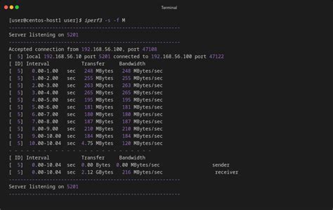 Как использовать Iperf3 на Linux для измерения пропускной способности сети?