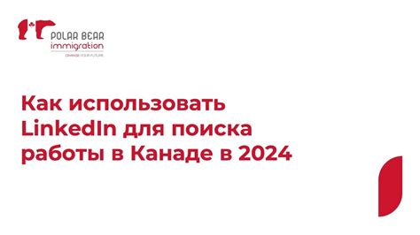 Как использовать LinkedIn для активного поиска работы