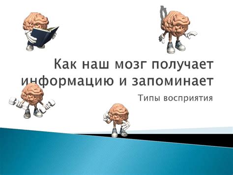 Как мозг запоминает и вспоминает информацию