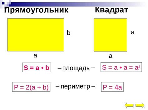 Как найти площадь и периметр прямоугольника?