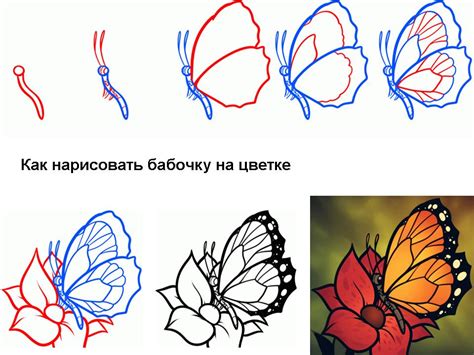 Как нарисовать бабочку в несколько шагов