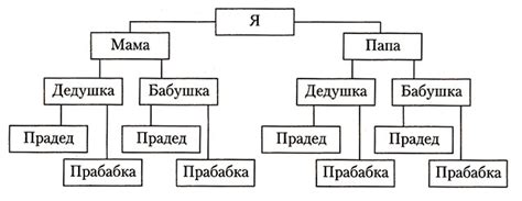 Как нарисовать родословную второго класса