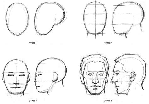Как нарисовать структуру головы и лицо