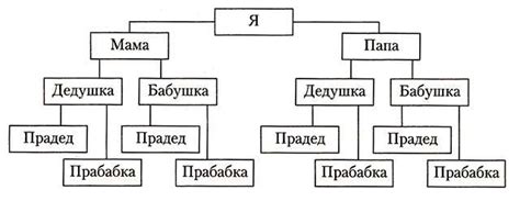 Как нарисовать структуру родословной