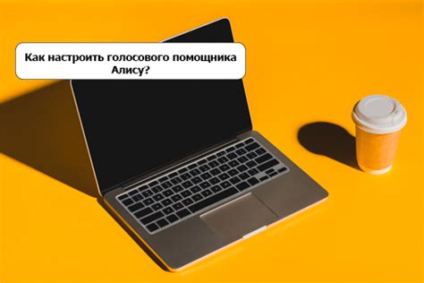 Как настроить Алису Селезневу на компьютере с Mac?