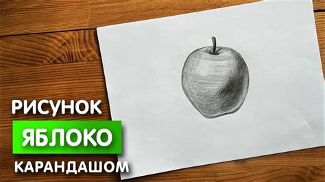 Как начать рисовать яблоко простым карандашом