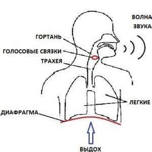 Как не перегружать голосовые связки