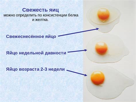 Как определить, сварено ли яйцо?