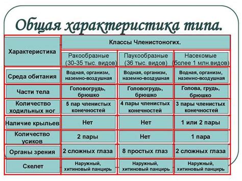 Как определить принадлежность человека к стихии