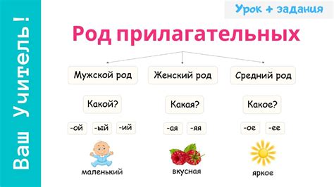 Как определить род, число и падеж имени прилагательного