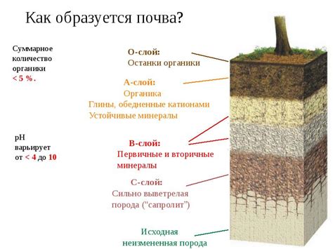 Как определить сжимаемость грунта