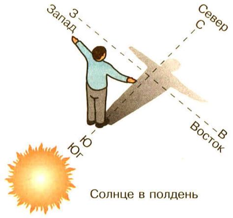 Как определить форму тени