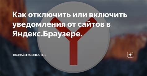 Как отключить уведомления в Яндекс Дзен