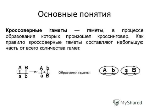 Как отличить кроссоверные и некроссоверные гаметы?