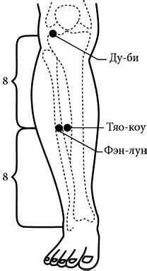 Как отличить фэн лун от других образований