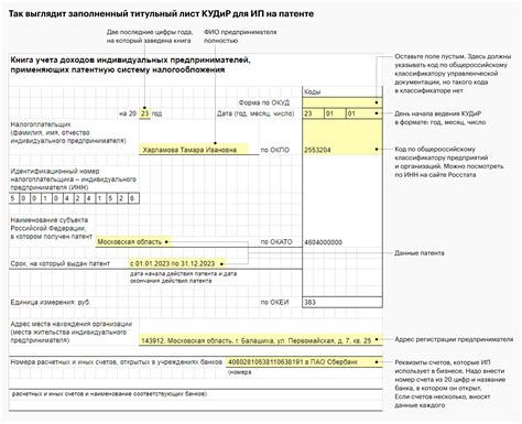 Как оформить кудир ИП на УСН: подробное руководство