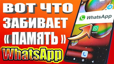 Как очистить кэш в WhatsApp на Android: пошаговая инструкция