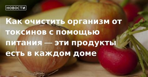 Как очистить организм от эстрогена с помощью питания?