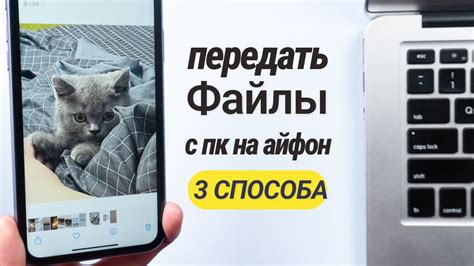 Как передавать файлы с iPhone на телевизор: полная инструкция и советы