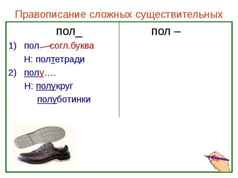 Как пишется слово "с пол пинка"