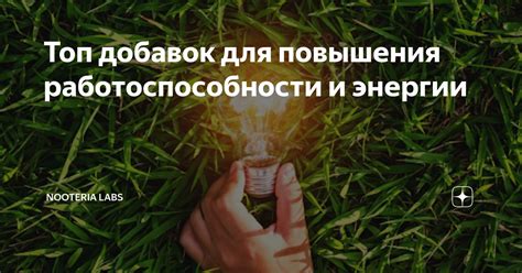 Как повысить энергию и работоспособность организма: 10 эффективных методов