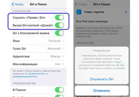 Как подключить сири на iPhone 14 Pro Max