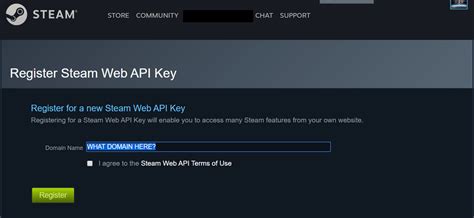 Как получить API ключ Steam?