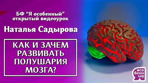 Как помогает нейропсихология детям развивать навыки