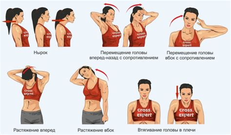 Как правильно делать упражнения для разминки шеи?