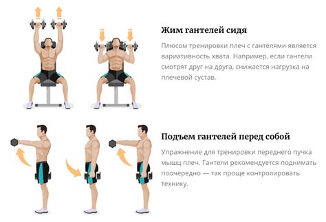 Как правильно делать упражнения на скосы плеча