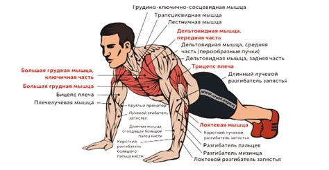 Как правильно дышать при выполнении отжиманий